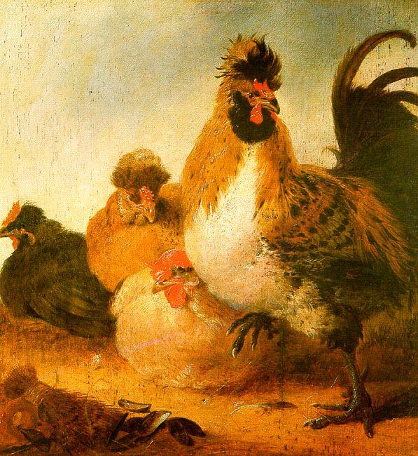 Aelbert Cuyp Rooster Hens oil painting picture